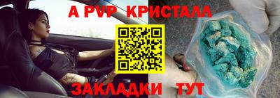 PSILOCYBIN Краснодар