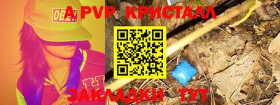 PSILOCYBIN Краснодар