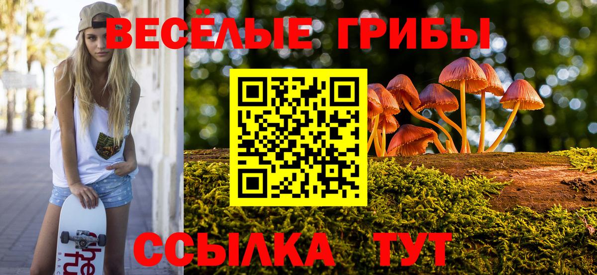 купить наркоту  Псилоцибиновые грибы мухоморы  Вход с VPN  Галлюциногенные грибы Psilocybine cubensis  Краснодар 